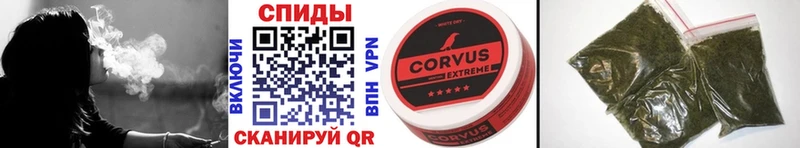 БУТИРАТ бутандиол  Купить где  Сясьстрой 