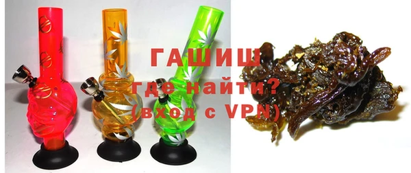 индика Сясьстрой