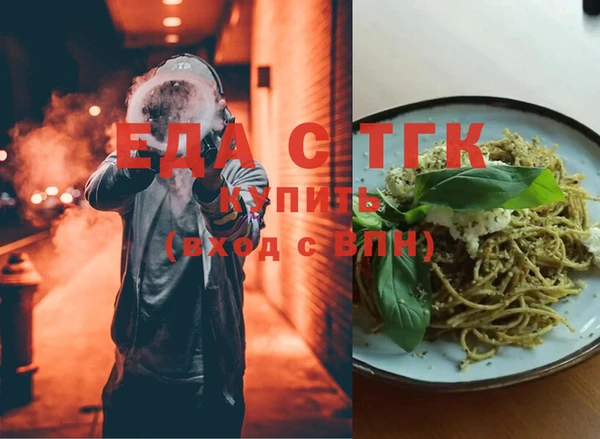 индика Сясьстрой