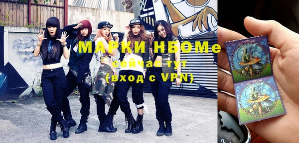 индика Сясьстрой