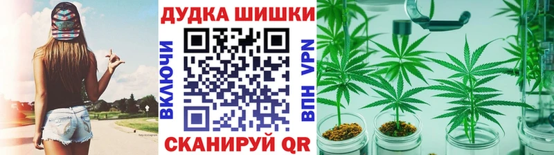 Купить закладки  Сясьстрой  Канабис LSD WEED 